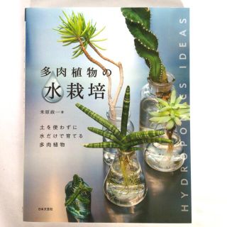 多肉植物の水栽培 土を使わずに水だけで育てる多肉植物(趣味/スポーツ/実用)