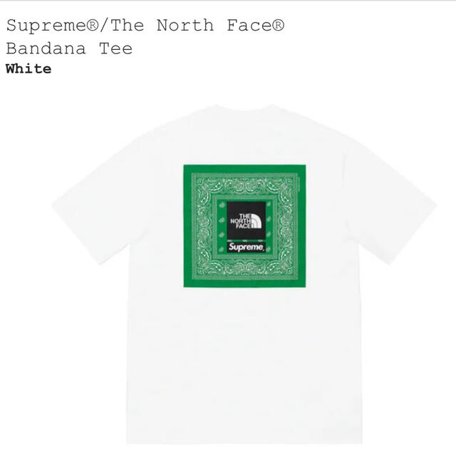 Supreme(シュプリーム)のSupreme®/The North Face®  Bandana Tee 白 メンズのトップス(Tシャツ/カットソー(半袖/袖なし))の商品写真