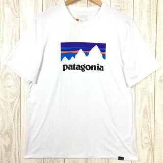 パタゴニア(patagonia)のMENs M  パタゴニア キャプリーン デイリー グラフィック Tシャツ CA(登山用品)