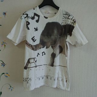 ティグルブロカンテ Tシャツ