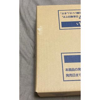 【新品未開封】1カートン Pokemon GO & プロモカードパック100枚