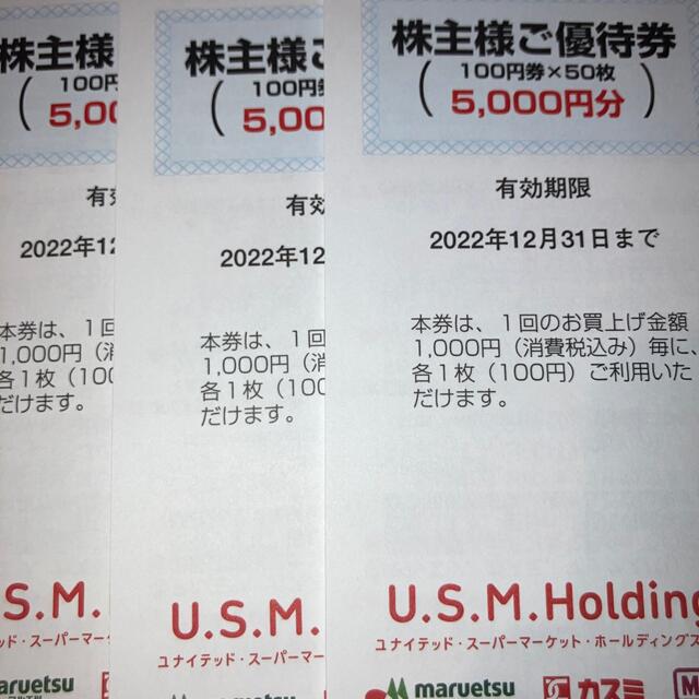 ユナイテッドスーパー USMH 株主優待券 1万円分 - 割引券