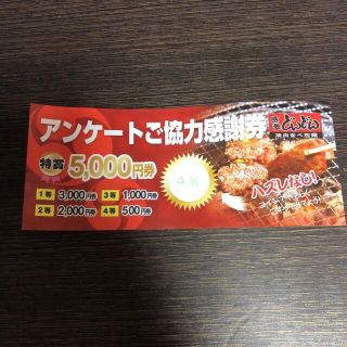 焼肉食べ放題　どんどん　500円券(レストラン/食事券)