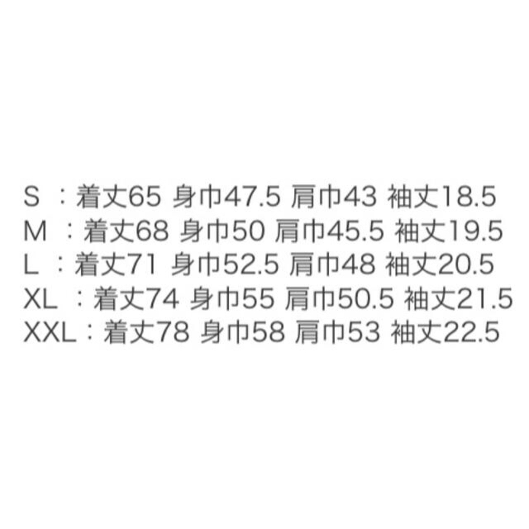 プロレス Tシャツ 小橋建太 魁！男塾 ノア 武藤ベアー 三沢光晴 チャンピオン