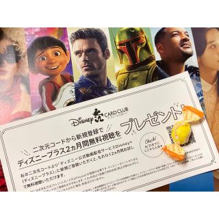 ディズニー(Disney)の専用です！ディズニープラス2ケ月無料券(その他)