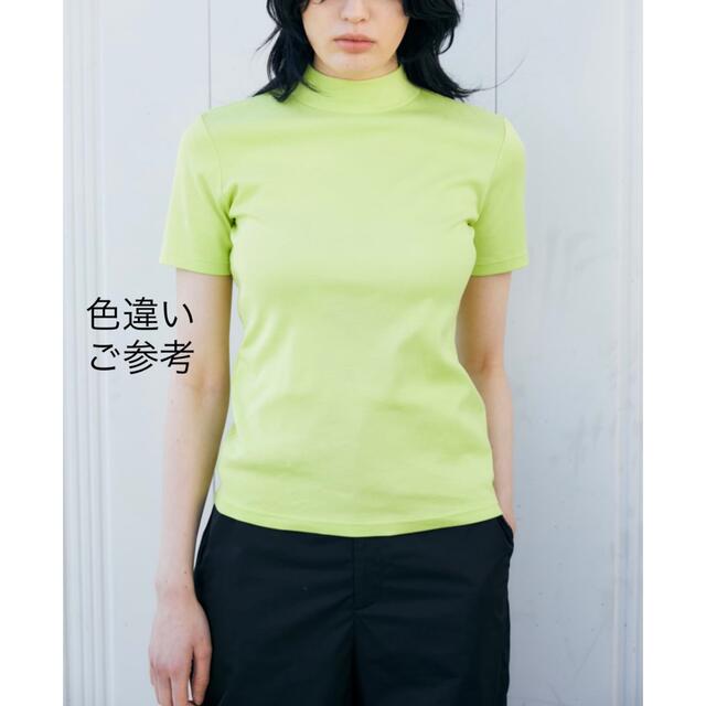 新品* ENFOLD・完売・ギザフライス T SHIRT