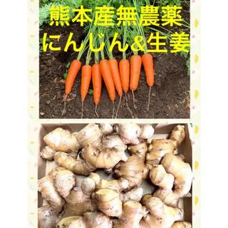 熊本産無農薬にんじん&生姜1.2キロ(野菜)
