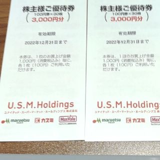 ユナイテッドスーパーマーケットの優待券6,000円分（100円券×30枚×2冊）(ショッピング)