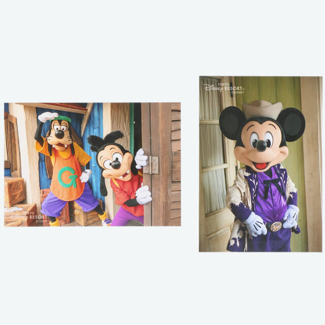 Disney(ディズニー)のディズニー　写真　実写　10枚 エンタメ/ホビーのおもちゃ/ぬいぐるみ(キャラクターグッズ)の商品写真