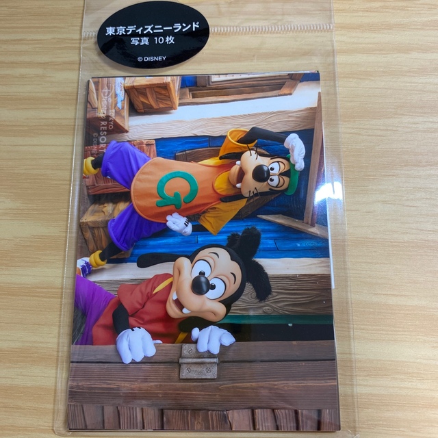Disney(ディズニー)のディズニー　写真　実写　10枚 エンタメ/ホビーのおもちゃ/ぬいぐるみ(キャラクターグッズ)の商品写真