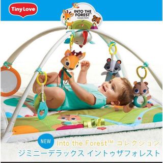 タイニーラブ(TINY LOVE)のタイニーラブ　プレイジム　ベビージム　メロディー(ベビージム)