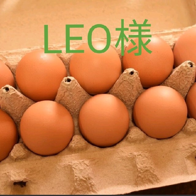 LEO様専用　平飼いたまご50個 食品/飲料/酒の食品(野菜)の商品写真