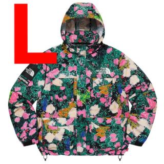 シュプリーム(Supreme)のSupreme The North Face Trekking Jacket(マウンテンパーカー)