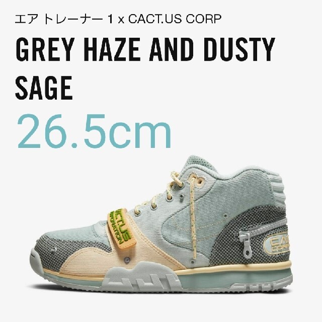 メンズTravis Scott Nike Air Trainer Grey Haze