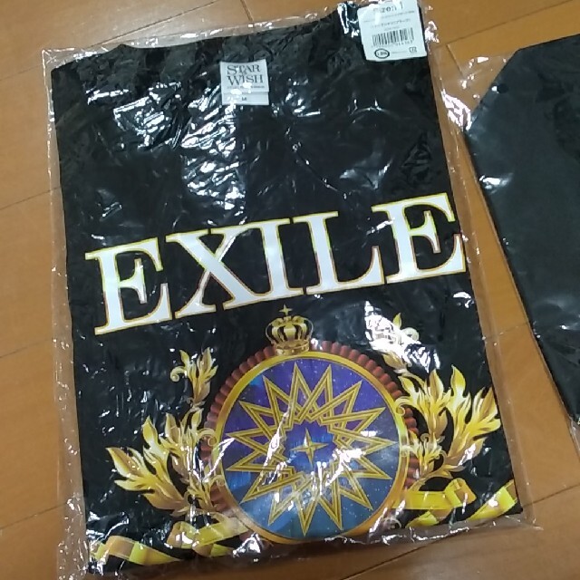 EXILE Star of Wish ツアーTシャツ トートバッグ エンタメ/ホビーのタレントグッズ(ミュージシャン)の商品写真