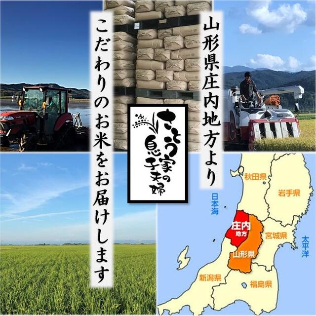 令和3年 山形県庄内産 雪若丸 玄米25kg Ｇセレクション 特別栽培米