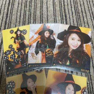 元乃木坂 46 生写真 桜井玲香 2016 ハロウィン Halloween5種コンプ