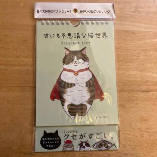 世にも不思議な猫世界 2022 ポストカードカレンダー(カレンダー/スケジュール)