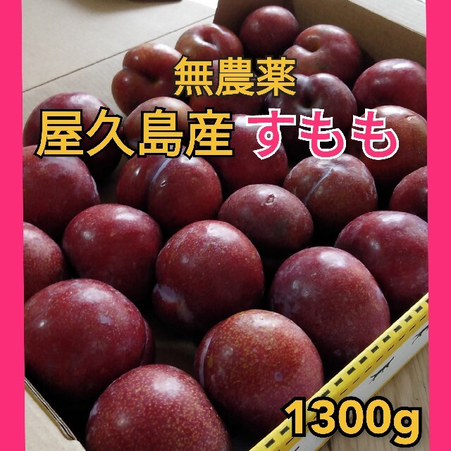 すもも 2kg A 果物 | demo.tehno-mag.hr
