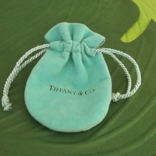 Tiffany & Co. - ティファニーのアクセサリー巾着