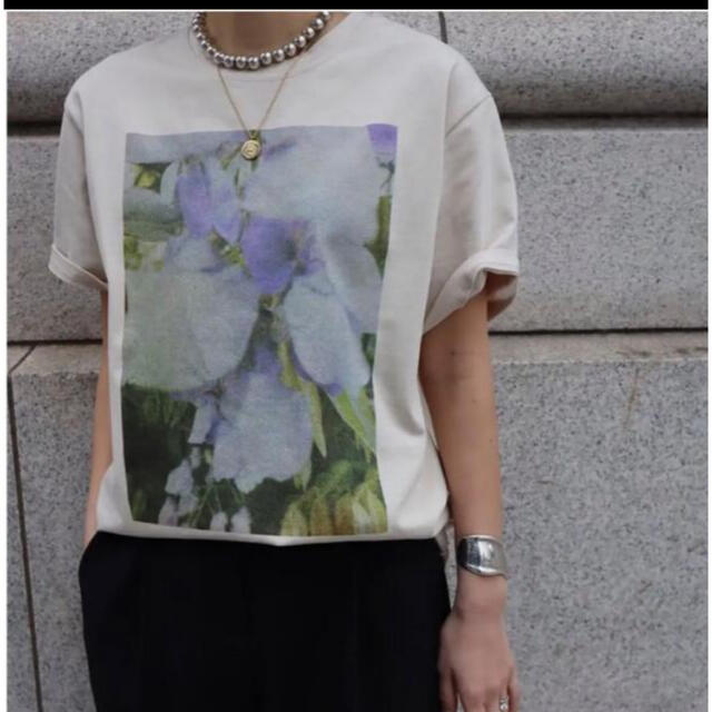 MACHATT フォトT photo Tシャツ マチャット ベージュ