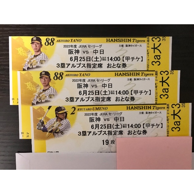 6月25日 甲子園球場チケット 3塁アルプス席 3枚
