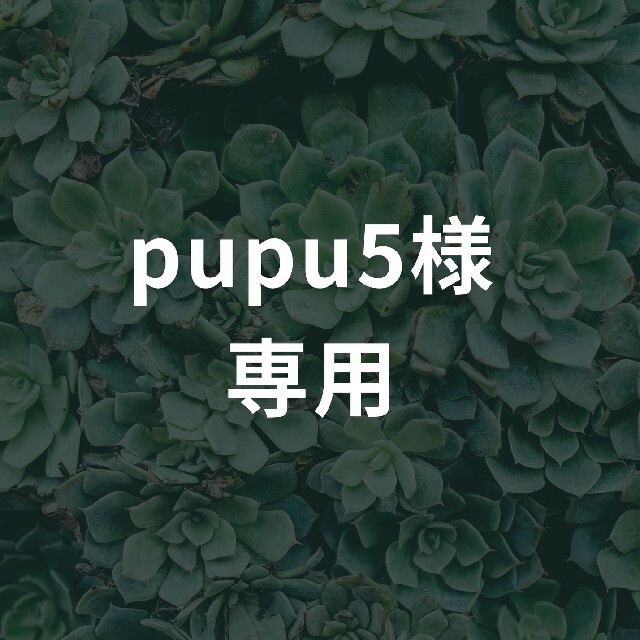 pupu5様専用 ハンドメイドのフラワー/ガーデン(その他)の商品写真