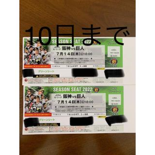 ハンシンタイガース(阪神タイガース)の7月14日　甲子園　阪神vs 巨人　グリーンシート　通路側2席(野球)