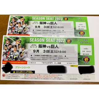 ハンシンタイガース(阪神タイガース)の9月3日　甲子園　阪神vs巨人　グリーンシート通路側2席(野球)