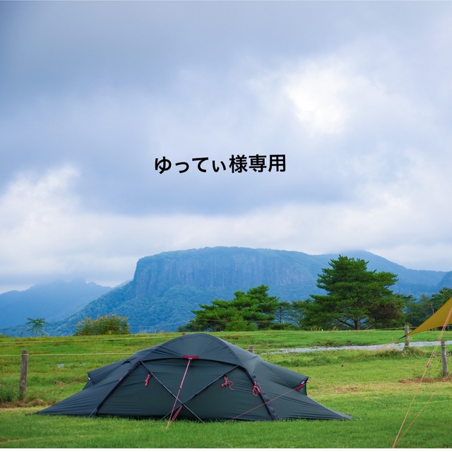 HILLEBERG(ヒルバーグ)の【国内正規品】ヒルバーグ　Saivo（サイボ） グリーン スポーツ/アウトドアのアウトドア(テント/タープ)の商品写真