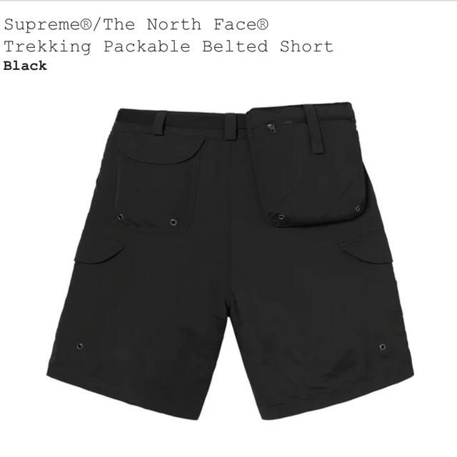 Supreme(シュプリーム)のSupreme Trekking Packable Belted Short L メンズのパンツ(ショートパンツ)の商品写真