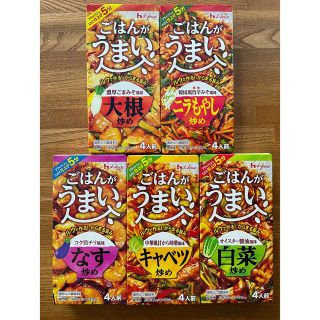 ハウスショクヒン(ハウス食品)のハウス食品　ごはんがうまい　5個セット★残りわずか(その他)