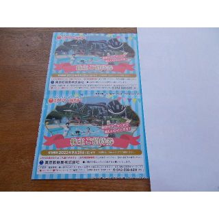 ９月２５日迄　東京サマーランド　株主優待券２枚(遊園地/テーマパーク)