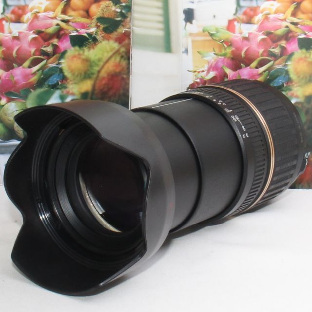 ⭐️希少品⭐️❤️これ1本で近遠対応❤️タムロン 18-200mm ニコン用❤️