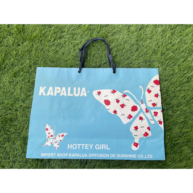 KAPALUA(カパルア)のKAPALUA カパルア ショップ袋 ショッパー 紙袋 90s 廃盤 希少年代物 レディースのバッグ(ショップ袋)の商品写真