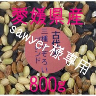 sawyer様専用 古代米3種ふぞろいブレンド　愛媛県産　800ｇ(米/穀物)