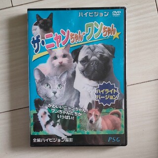 わんにゃん　DVD(キッズ/ファミリー)