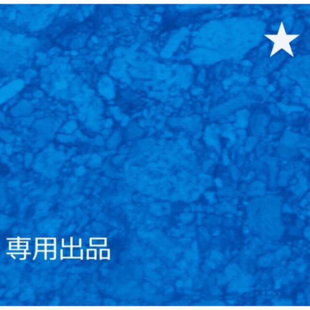 専用です様 | jctechnology.com.ec