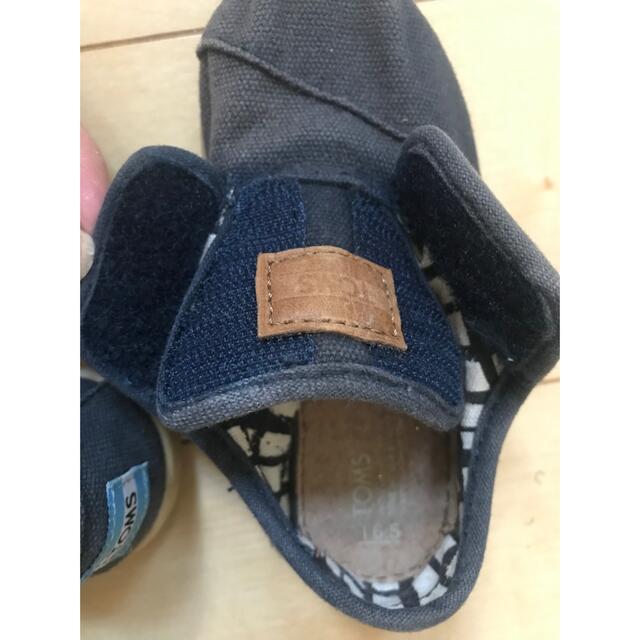 TOMS(トムズ)のTOMS スニーカー キッズ/ベビー/マタニティのベビー靴/シューズ(~14cm)(スニーカー)の商品写真