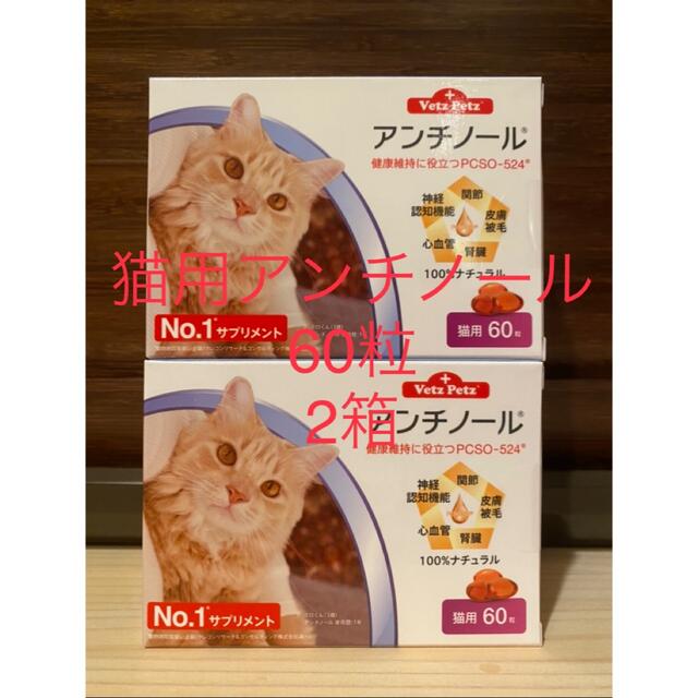 猫用アンチノール60粒入り新品未開封2箱 - 猫