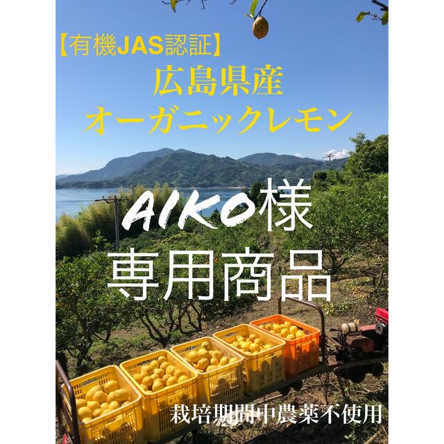 aiko様専用商品 食品/飲料/酒の食品(フルーツ)の商品写真