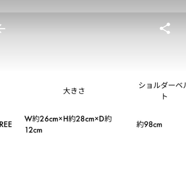 三代目 J Soul Brothers(サンダイメジェイソウルブラザーズ)のFC限定☆三代目JSB 10th記念バッグ エンタメ/ホビーのタレントグッズ(ミュージシャン)の商品写真