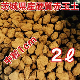 茨城県産硬質赤玉土 中粒 2.0ℓ 盆栽 多肉植物 ビオトープ めだか(アクアリウム)