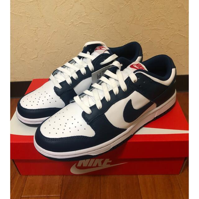 最終値下Nike Dunk Low "Valerian Blue"