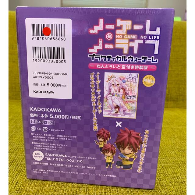 レア】ノーゲーム・ノーライフ 特装版 ねんどろいど空フィギュア付