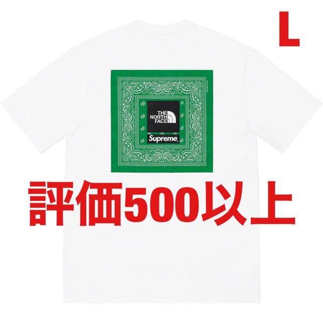 Supreme®/The North Face® Bandana TeeTシャツ/カットソー(半袖/袖なし)