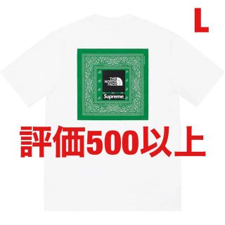 Supreme®/The North Face® Bandana Tee (Tシャツ/カットソー(半袖/袖なし))