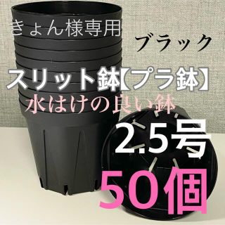 きょん様専用★【スリット鉢】直径7.5㎝ 2.5号　50個(プランター)