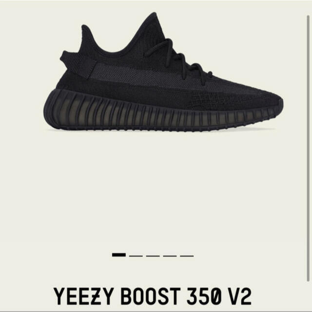 メンズカナカナ専用adidas YEEZY Boost 350 V2  Onyx