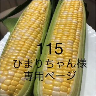 115ひまりちゃん様専用ページ(野菜)